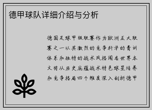 德甲球队详细介绍与分析