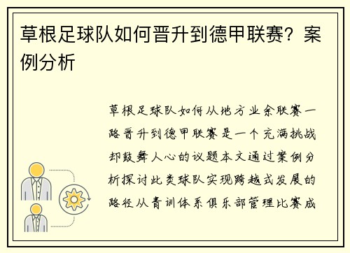 草根足球队如何晋升到德甲联赛？案例分析